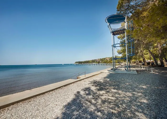 Parco vacanze Mobile Homes Adria Ancarano